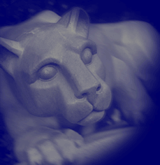 this has something to do with football, yeah?