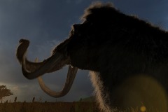 10323b37a1216ac3cec73ee3ac27c3016e21d9498d0be49d7d0edaee0f39eaa3