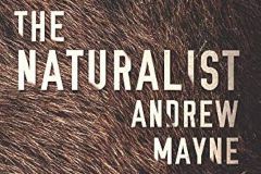 51QYjHIeuL._AC_UF10001000_QL80_