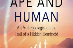 254875DC-7FB7-4457-A30A-B45994136154IMG100