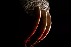 official-poster-for-slotherhouse-v0-7mf1dcl9nceb1.jpg