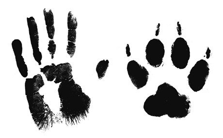 werewolf-swedish-folklore