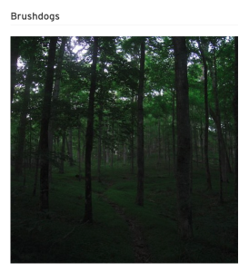 brushdogs