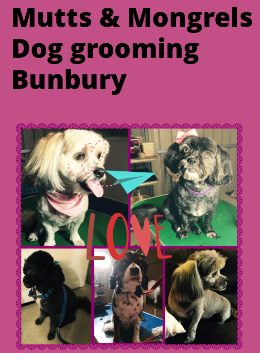 Screen Shot 2016-06-21 at 11.52.05 AM