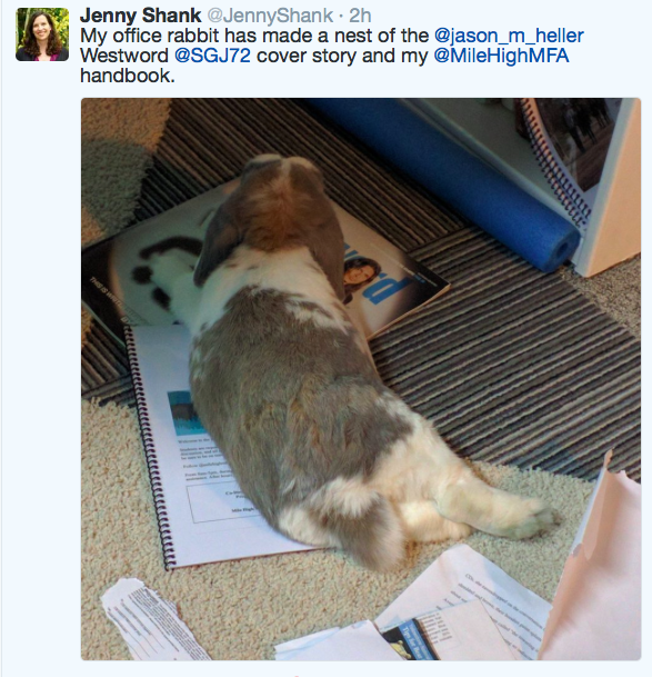 screen-shot-2016-09-09-at-12-05-34-pm